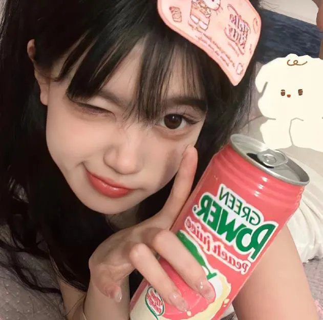 扭计大贼